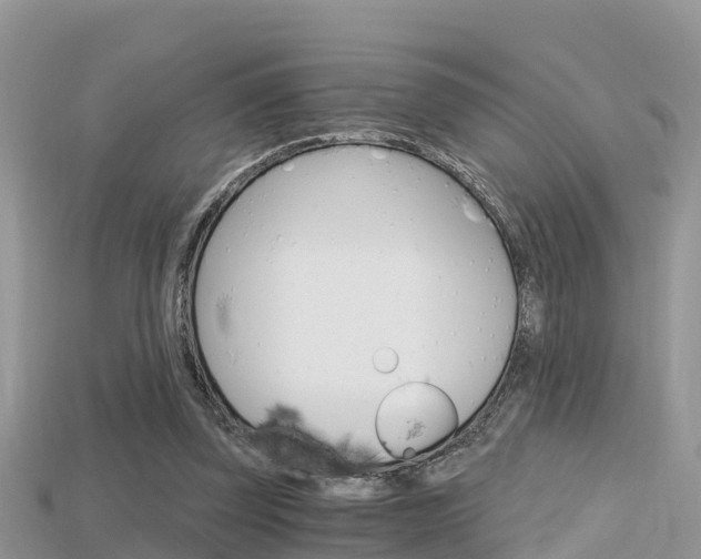 X0000115680347200911120951