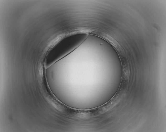 X0000115680350200911120951