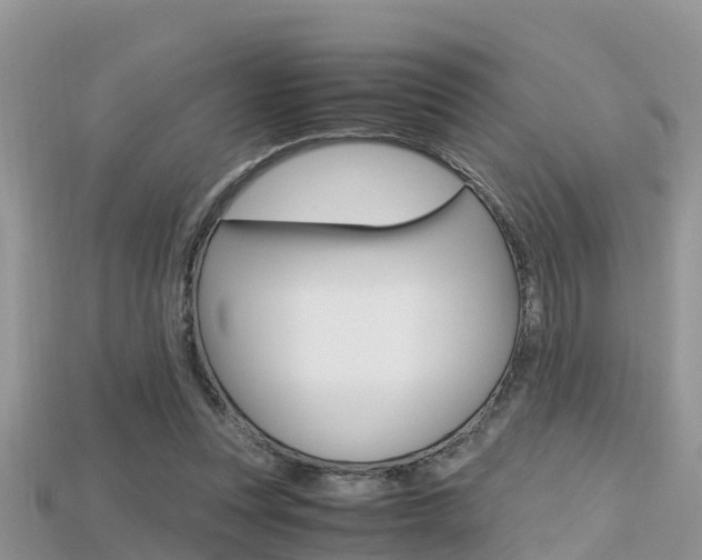 X0000115680351200911120951