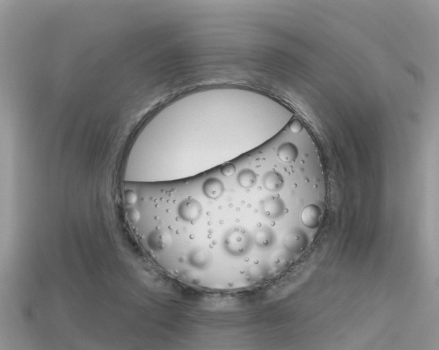 X0000115680354200911120951