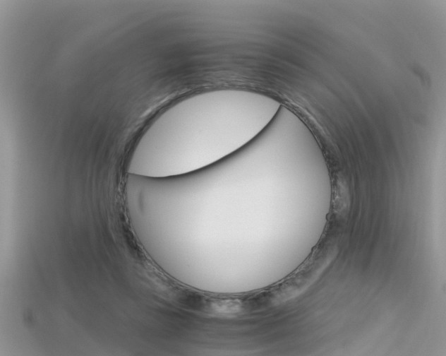 X0000115680355200911120951