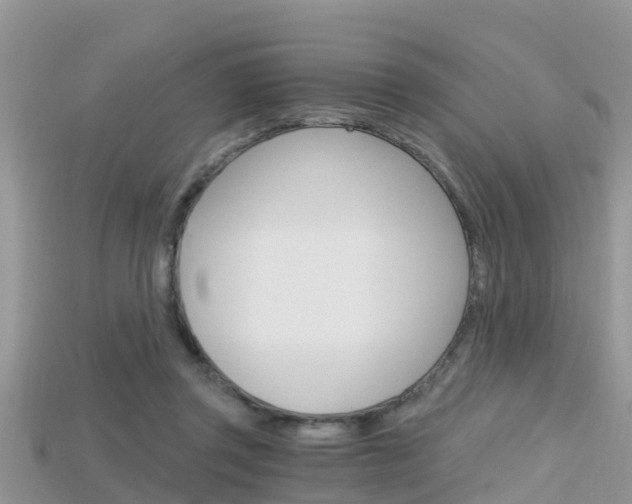 X0000115680357200911120951