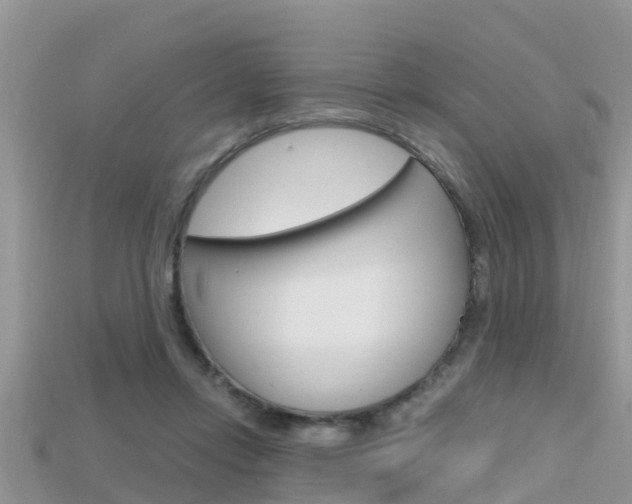 X0000115680358200911120951