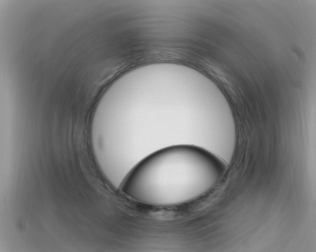 X0000115680362200911120952