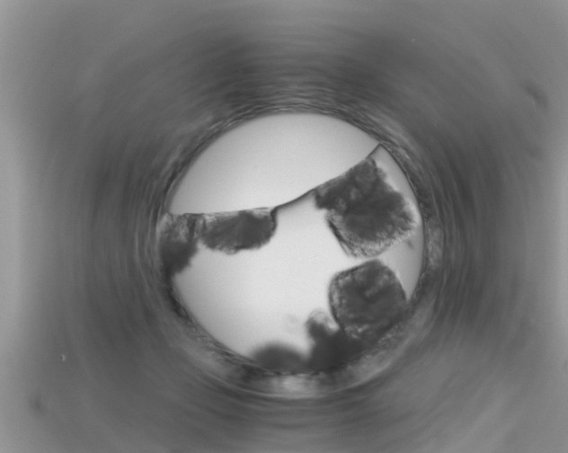 X0000115680365200911120952