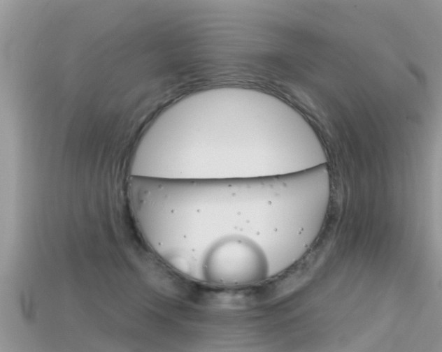X0000115680366200911120952