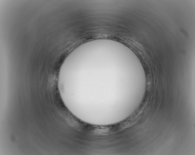 X0000115680369200911120952