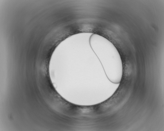 X0000115680370200911120952