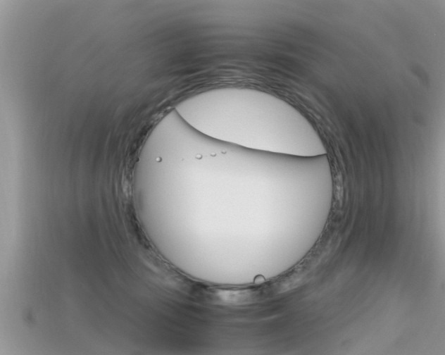 X0000115680371200911120952