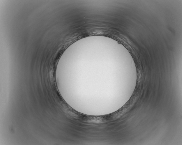 X0000115680377200911120952