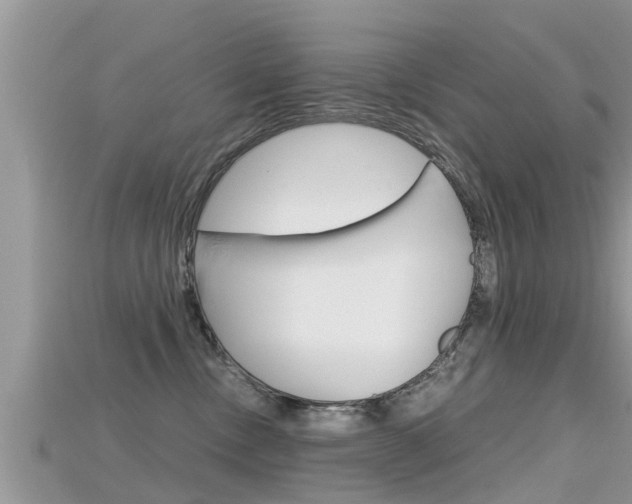 X0000115680378200911120952