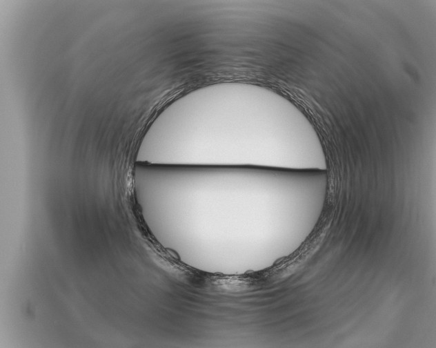 X0000115680383200911120952