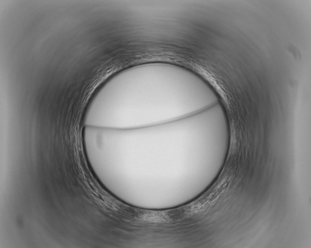 X0000115680386200911120951