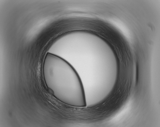 X0000115680387200911120951