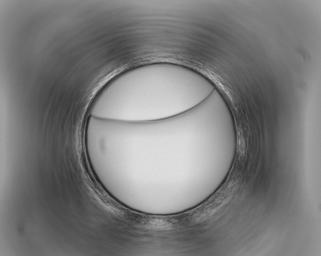 X0000115680390200911120951