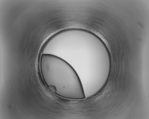 X0000115680391200911120951