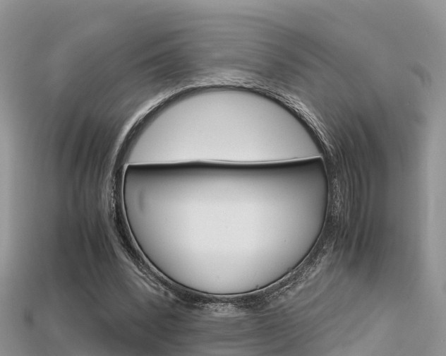 X0000115680392200911120951