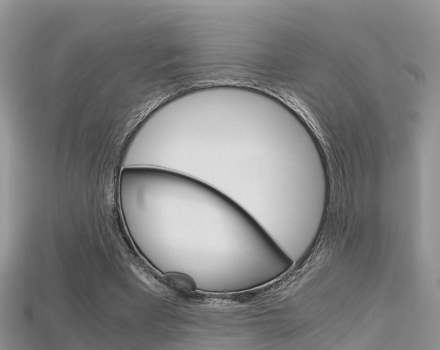 X0000115680393200911120951