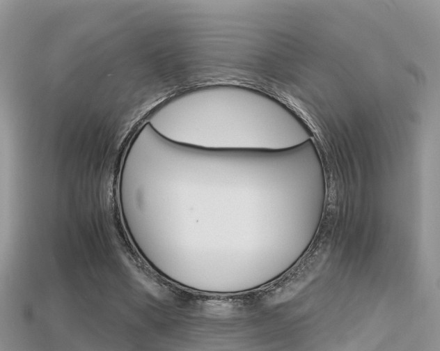 X0000115680394200911120951