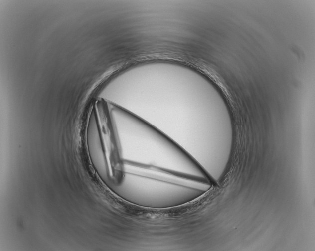 X0000115680395200911120951