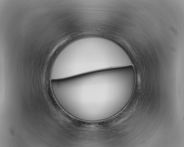X0000115680396200911120951