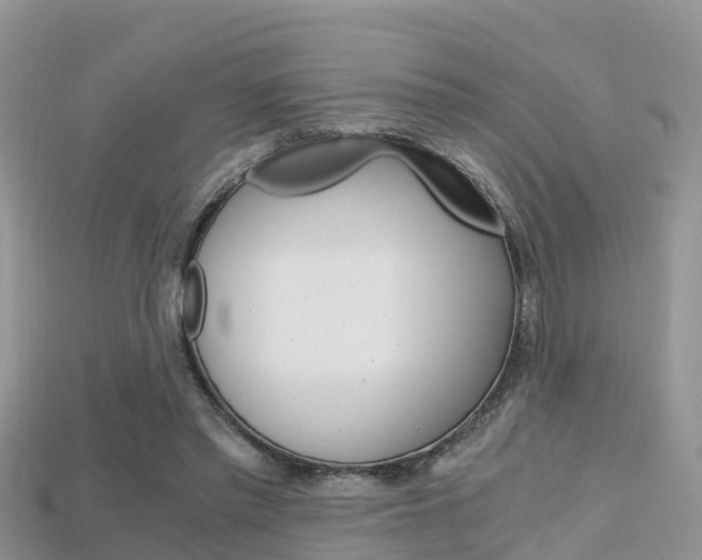 X0000115680397200911120951