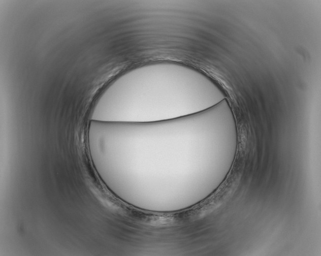 X0000115680398200911120951