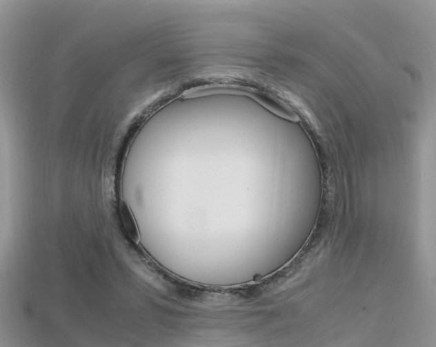 X0000115680399200911120951