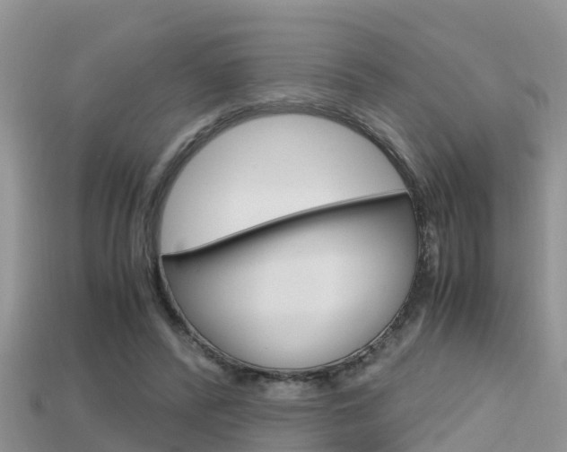 X0000115680400200911120951