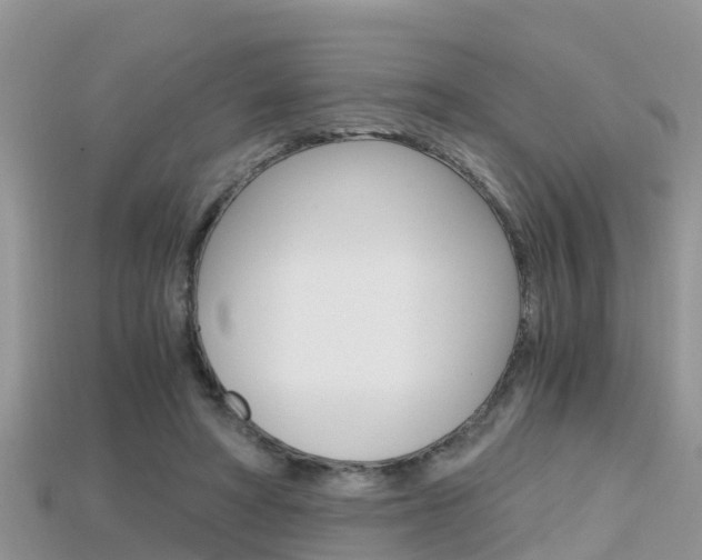 X0000115680402200911120951