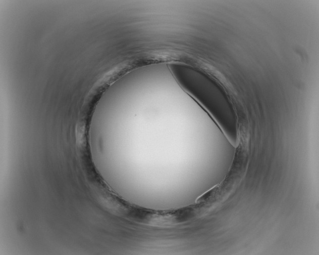 X0000115680403200911120951