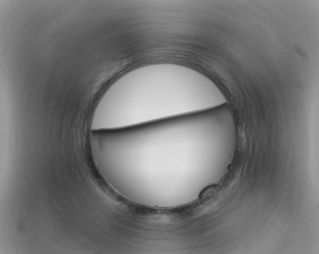 X0000115680404200911120951