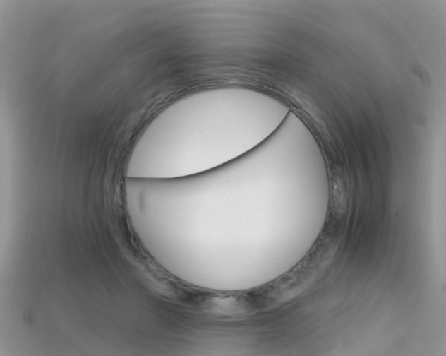 X0000115680406200911120951