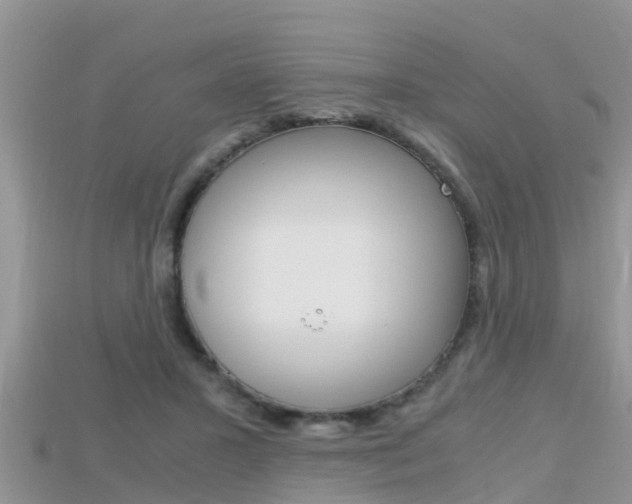 X0000115680407200911120951