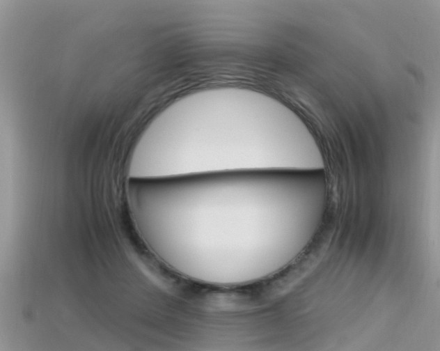 X0000115680408200911120951