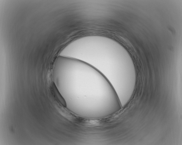 X0000115680409200911120951