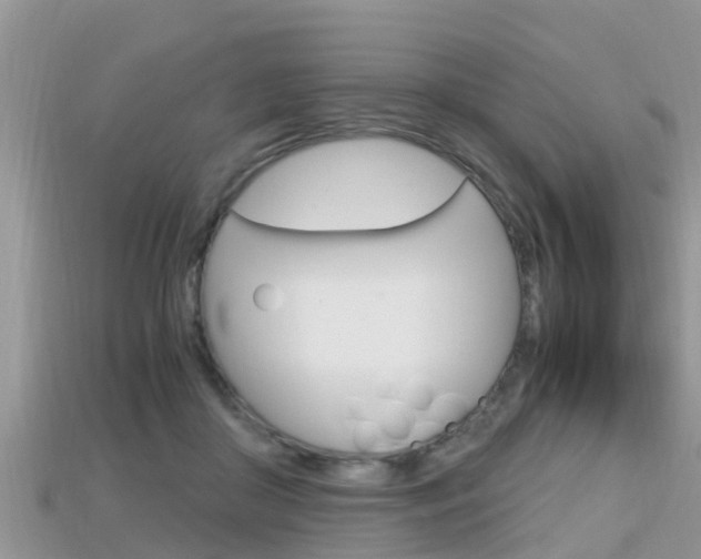 X0000115680410200911120951