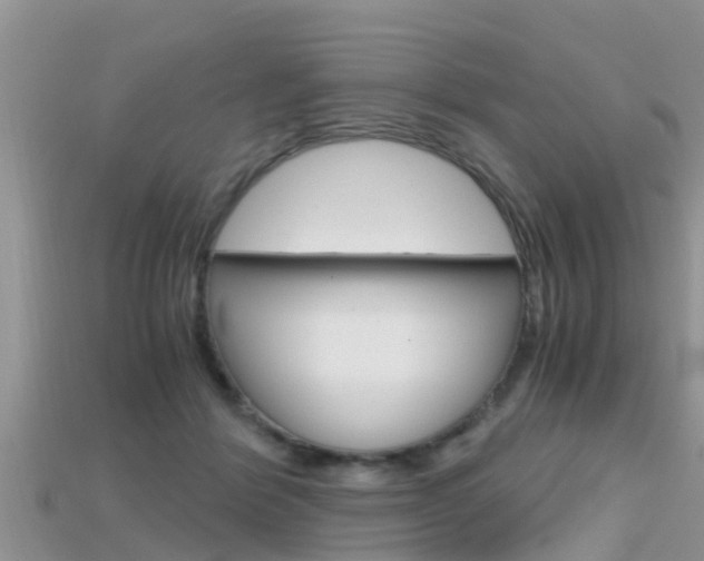 X0000115680412200911120951