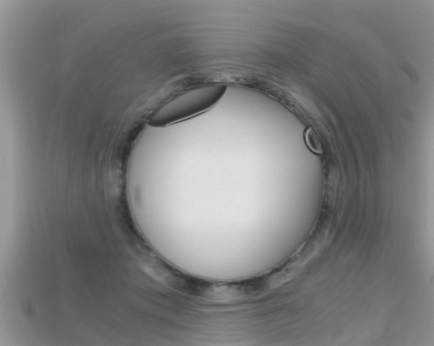 X0000115680413200911120951