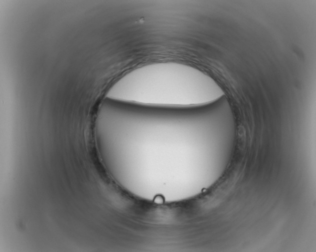 X0000115680416200911120951