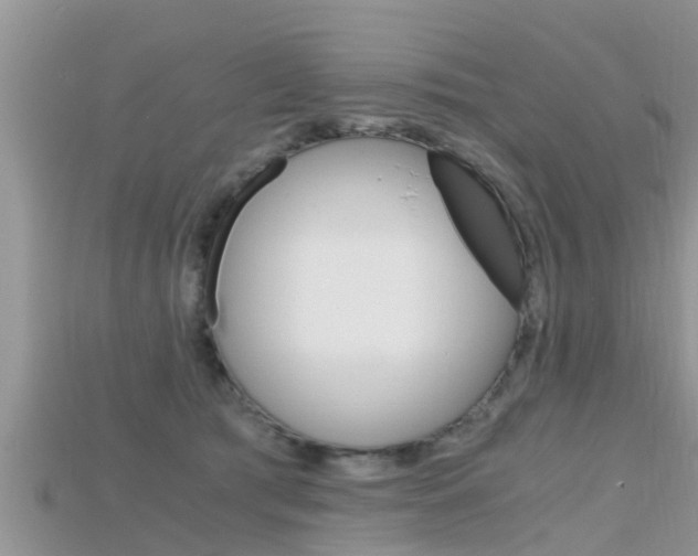 X0000115680417200911120951