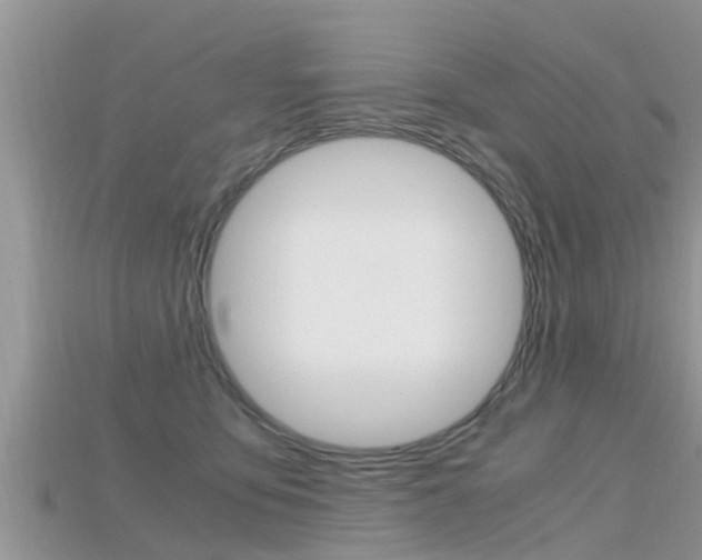X0000115680419200911120951