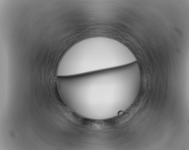 X0000115680420200911120951