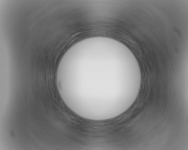 X0000115680421200911120951