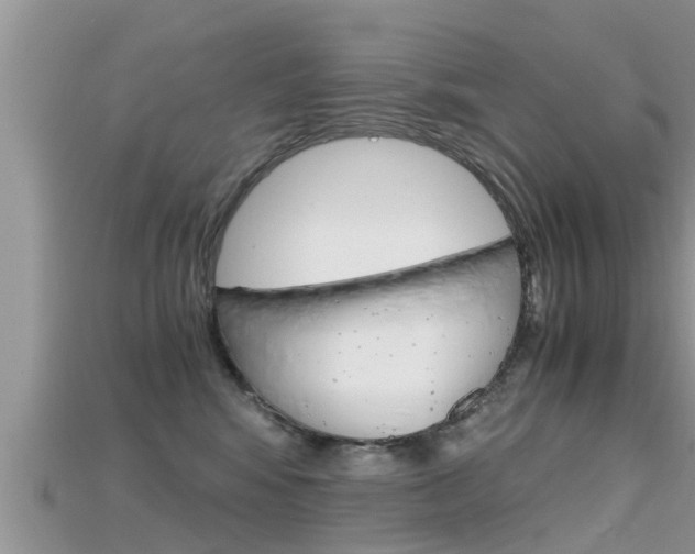 X0000115680424200911120951