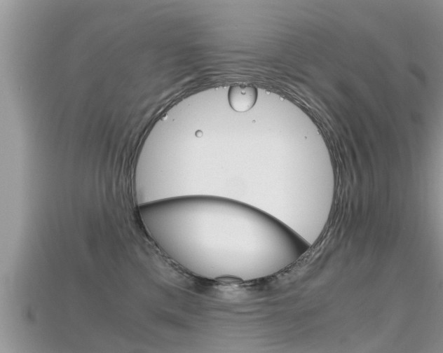 X0000115680425200911120951