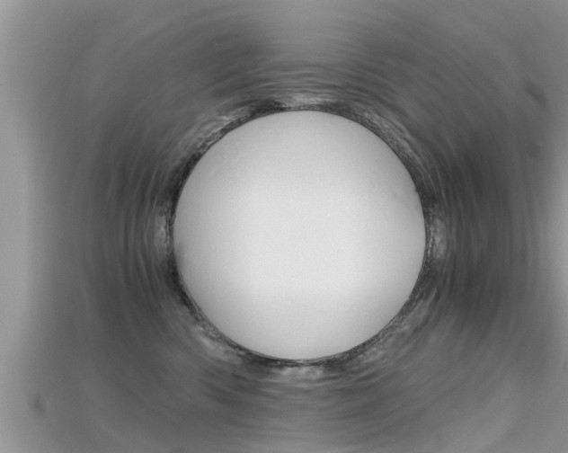 X0000115680426200911120951