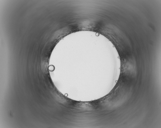 X0000115680427200911120951