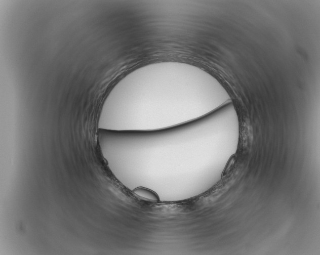 X0000115680428200911120951