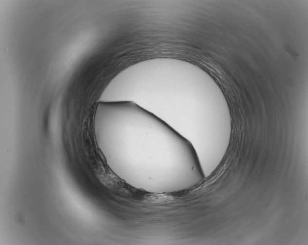 X0000115680429200911120951